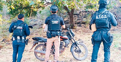 Desmantelan 5 campamentos clandestinos en Jacona