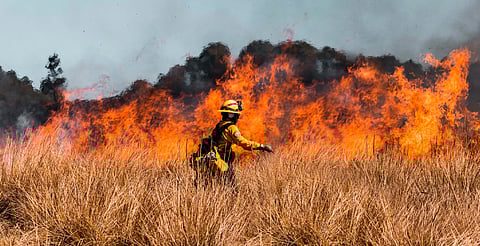 Evita quemas agrícolas y de pastizales: advierten impacto en la calidad del aire