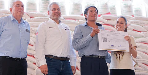 Celebra Bedolla que Sheinbaum arrancará en Michoacán programa Cosechando Soberanía