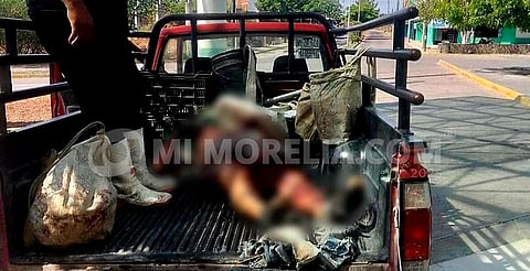 Suman dos jornaleros muertos tras estallido de un explosivo improvisado en Buenavista