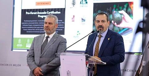 Impulsan ONG certificación de aguacate michoacano en EUA