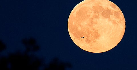No te pierdas la brillante luna llena de febrero