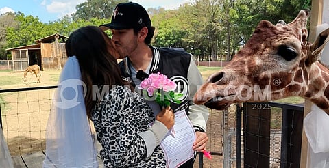 ¡Gran experiencia de amor! Bodas con jirafas de testigo en el Zoo de Morelia