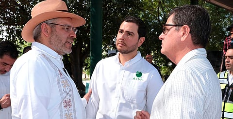 Limón en polvo, alternativa para llegar a mercados internacionales: Bedolla