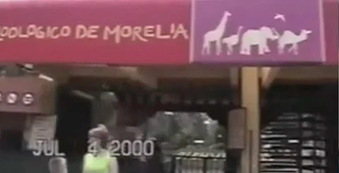 ¿Nostalgia? Recuerdan cómo era visitar el Zoo de Morelia en los 2000's