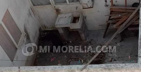 Preocupa abandono de perros en Morelia; reportan 4 casos de canibalismo