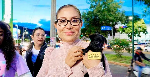 Morelia apuesta por la protección animal con nuevo Instituto: Minerva Bautista