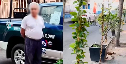 Denuncian arresto de hombre por plantar árbol en la calle, pero autoridad aclara, en CDMX