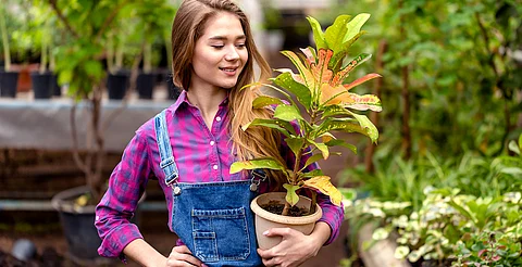 Llegará la primavera a Morelia con el Festival de la Planta