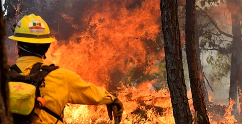 Preliberados y sentenciados se sumarán a brigadas contra incendios en Michoacán