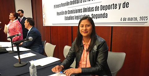 No a la difamación contra México: Celeste Ascencio