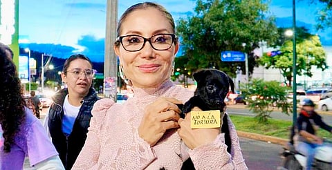 Buscan declarar a Morelia libre de maltrato animal; estas son las acciones