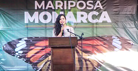 Arranca Festival Biocultural de la Mariposa Monarca en la Región Oriente