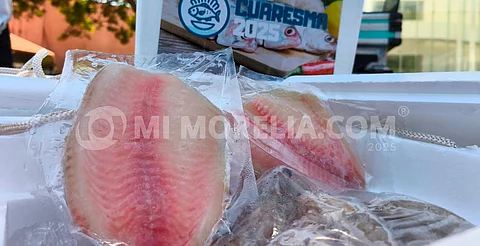 Esperan vender más de 160 toneladas de pescados en campaña Cuaresma 2025