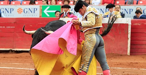 Buscan prohibir corridas de toros con violencia en CDMX; esta es la propuesta
