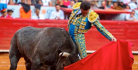 Avanza reforma para prohibir corridas de toros con violencia, en CDMX
