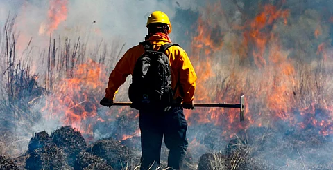 SMN alerta que 9 estados son propensos a incendios forestales; Michoacán en la lista