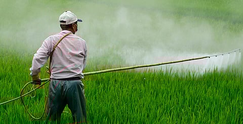 Uso de agroquímicos en Michoacán: estudio revela posible relación con leucemia infantil