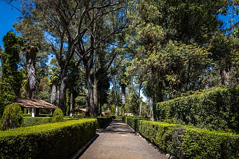 Morelia recibirá la primavera con sol y hasta posible lluvia, según pronóstico
