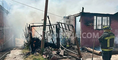 Bomberos estatales rescatan 3 perritos de un incendio de casa en Morelia
