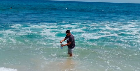 Se busca reducir cualquier tipo de riesgo sanitario y evitar que bañistas y turistas puedan contraer una enfermedad