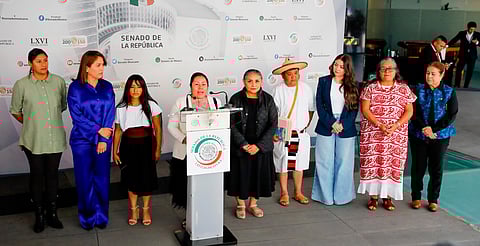 "FAISPIAM es un logro de una lucha histórica": Celeste Ascencio