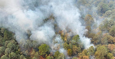 Controlado, incendio en el cerro del Quinceo en Morelia: Cofom
