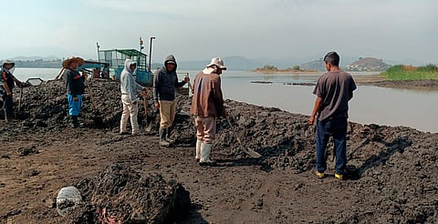 Gobierno estatal arranca empleos temporales para rescate del lago de Pátzcuaro