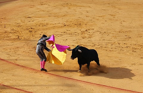 Corridas de toros quedan prohibidas en Michoacán