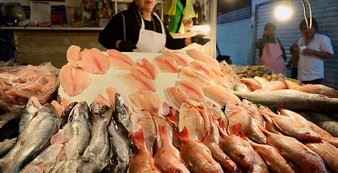 SSM te dice como identificar si el pescado está fresco