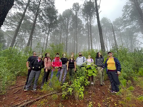 ¿Te animas? Habrá caminata para principiantes en bosque de Morelia