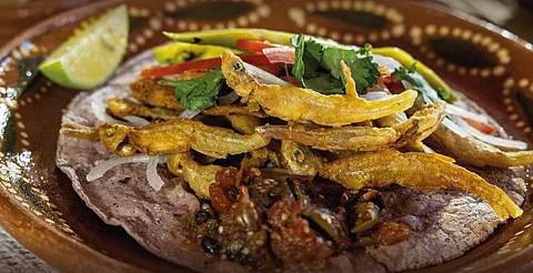 ¿Ya sabes qué comer esta Cuaresma? Urandén te espera con 12 cocineras tradicionales