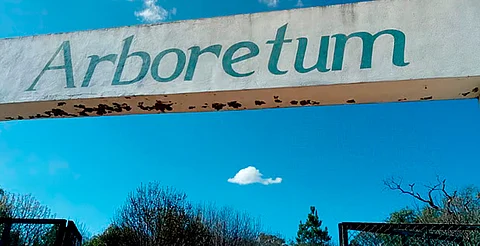 Morelia recuperará el Arboretum: proyectan senderos e iluminación en espacio natural