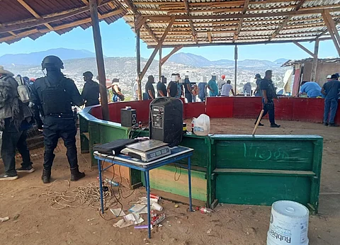 SSP desactiva en Hidalgo un palenque clandestino