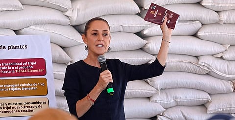 Lanza Sheinbaum el frijol del Bienestar; costará $27 el kilo