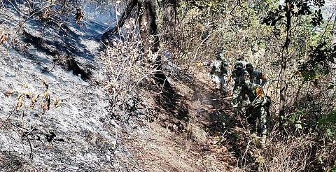 Brigadas de la Cofom y SEDENA se sumaron a las labores por difícil acceso y propagación