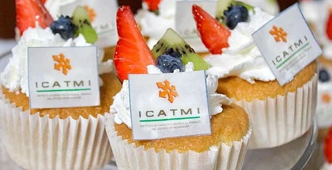 Abiertas inscripciones para cursos cuatrimestrales de Icatmi