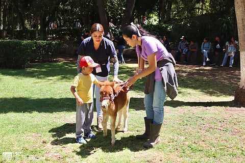 Zoológico de Morelia ofrece actividades educativas estas vacaciones