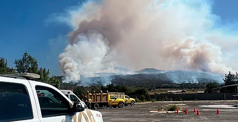 Con 12 siniestros, Michoacán es el segundo estado con más incendios forestales activos: Conafor