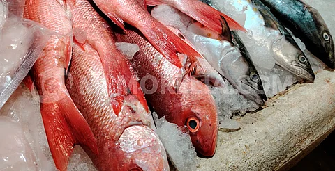 Comerciantes de pescados y mariscos señalan reducción en sus ventas de hasta un 30% en Cuaresma