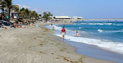 Contienen altos niveles de enterococos fecales, bacteria que puede causar graves infecciones