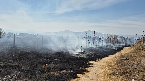 Controlado el incendio en la loma de Santa María, en Morelia: Cofom