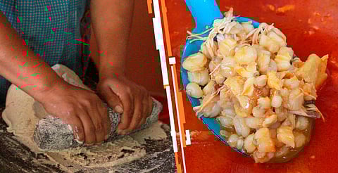 También se realizará la Regata Nacional de Canotaje con la participación de deportistas de distintos estados del país