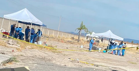 Colectivo halla restos humanos con impactos de bala en finca de Guadalajara