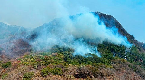 Brigadas continúan combatiendo incendio en Nocupétaro: Cofom