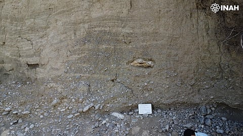 ¡Tesoros del pasado! Recuperan fósiles de más de 10 mil años en Tamaulipas