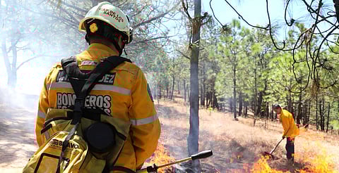 Brigadas atienden incendio en Cotija: Cofom