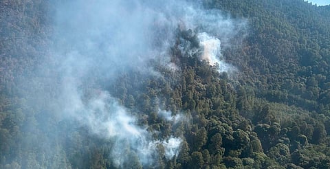 Avanza control del incendio en Santuario de la Monarca; hay 65 hectáreas afectadas