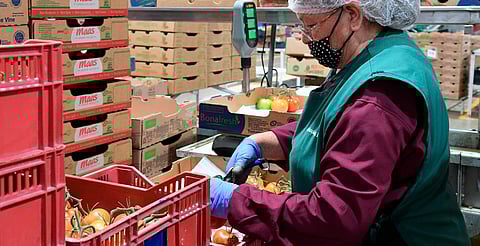 Michoacán alcanza cifra histórica con casi 33 mil empleos formales generados: Sedeco