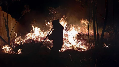Brigadas ya se encuentran en combate de incendio en Tuxpan: Cofom